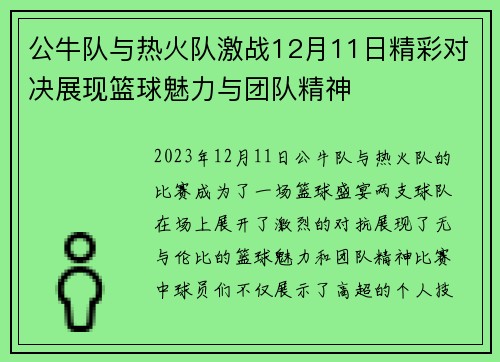 公牛队与热火队激战12月11日精彩对决展现篮球魅力与团队精神